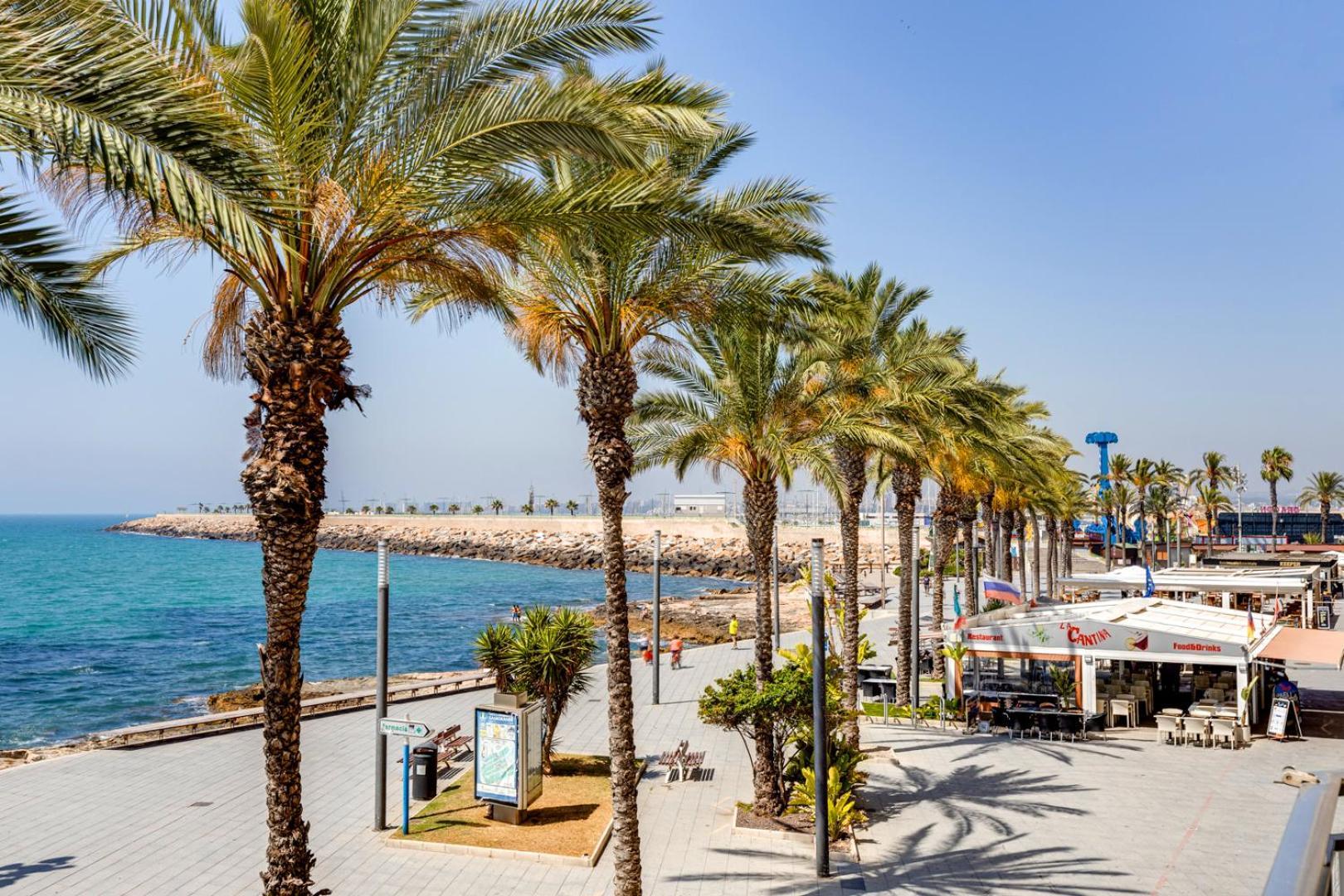 Apartment Near Beach, Playa Del Cura 또레비에하 외부 사진